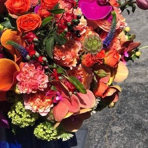 Meet your Posher, Elizabeth